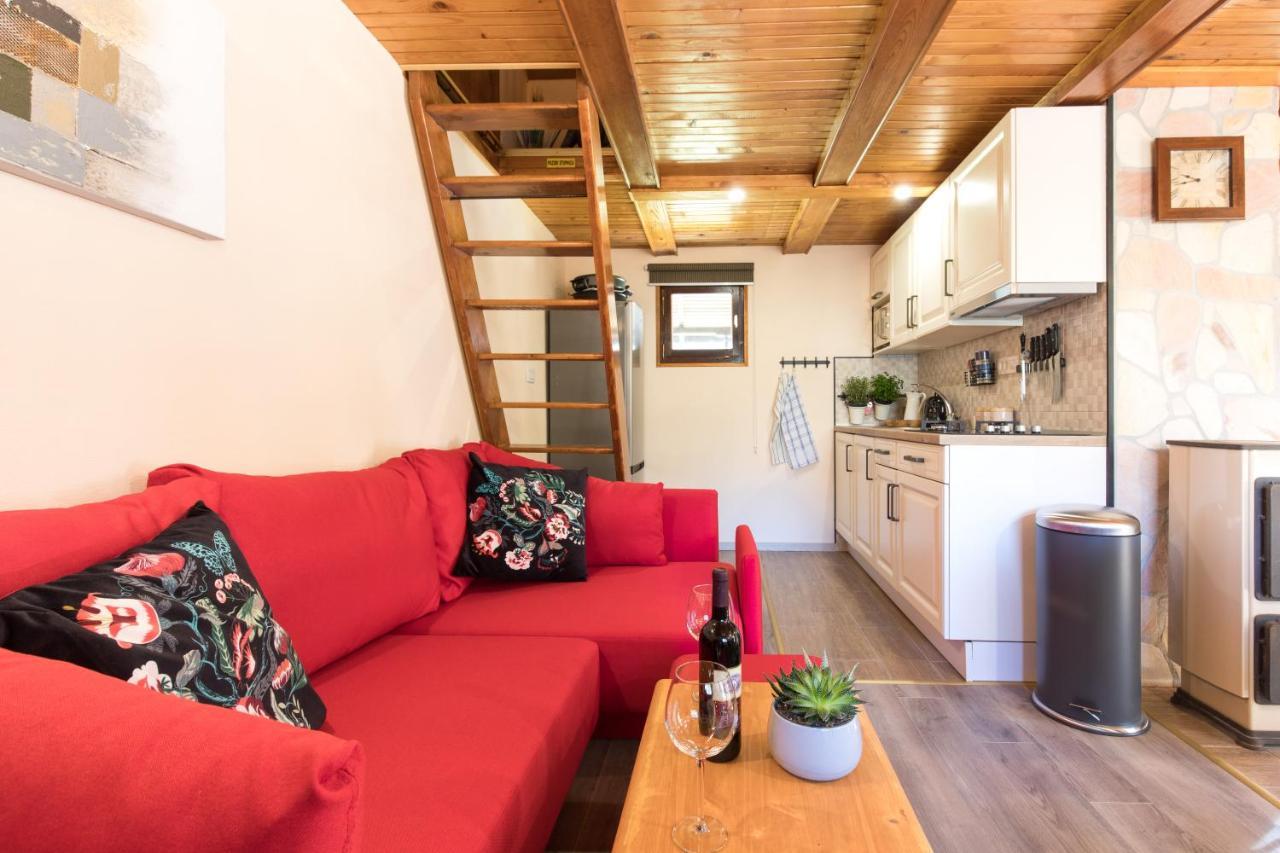 Vila Rozi, Osilnica - Vacation House Pr' Vili Rozi Εξωτερικό φωτογραφία