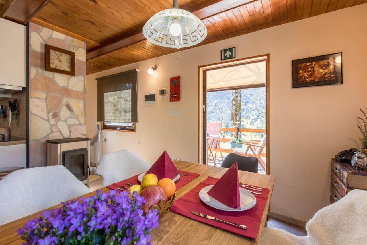 Vila Rozi, Osilnica - Vacation House Pr' Vili Rozi Εξωτερικό φωτογραφία