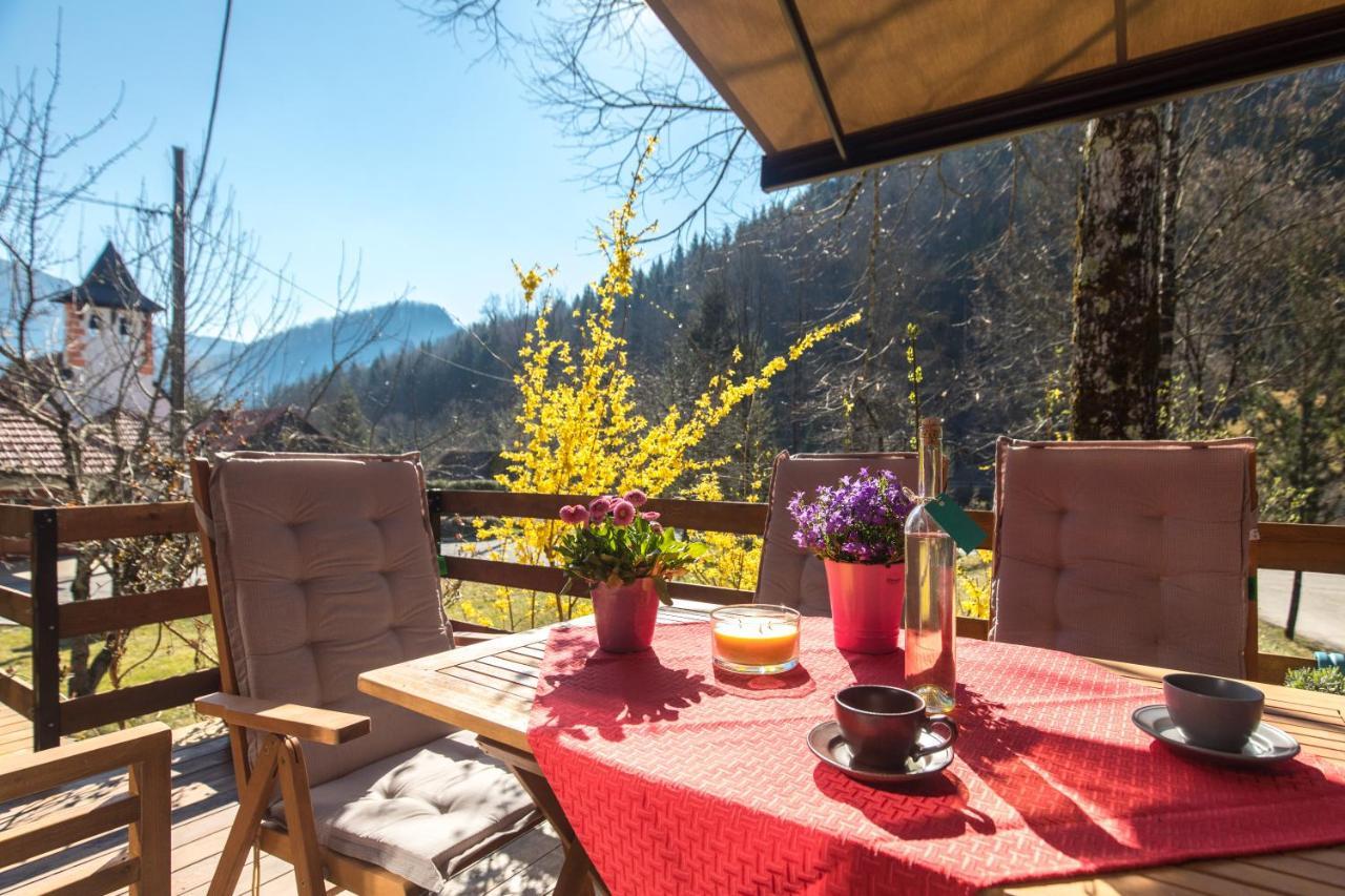 Vila Rozi, Osilnica - Vacation House Pr' Vili Rozi Εξωτερικό φωτογραφία