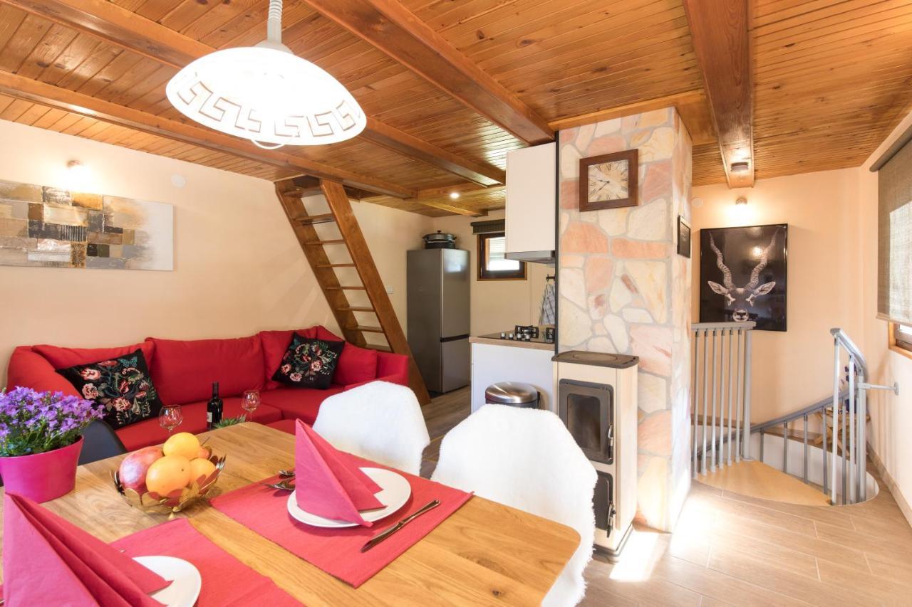 Vila Rozi, Osilnica - Vacation House Pr' Vili Rozi Εξωτερικό φωτογραφία
