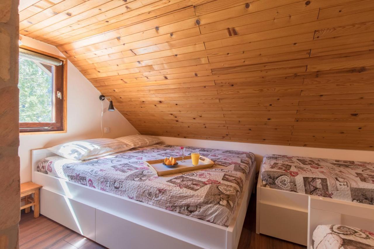 Vila Rozi, Osilnica - Vacation House Pr' Vili Rozi Εξωτερικό φωτογραφία