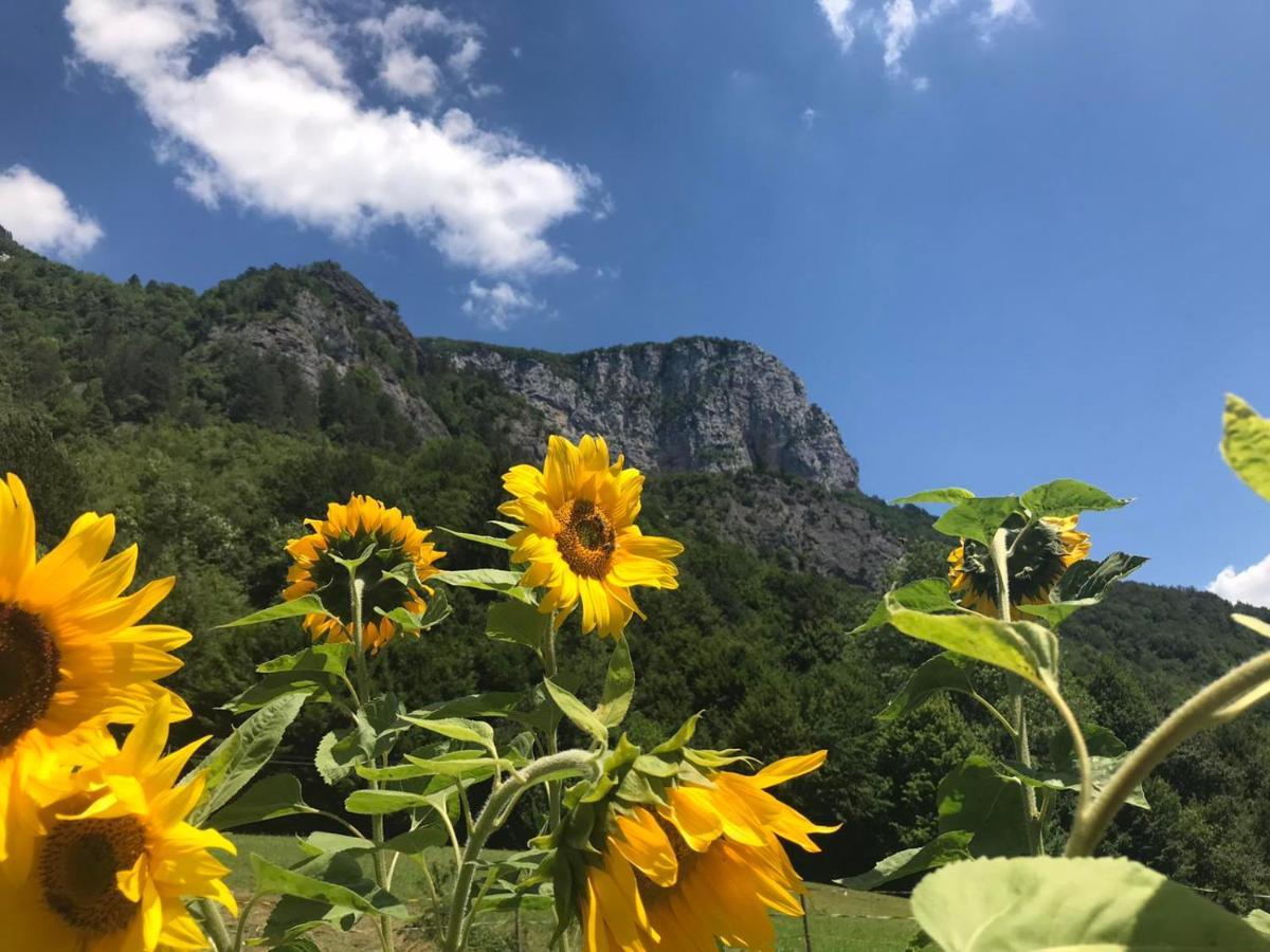 Vila Rozi, Osilnica - Vacation House Pr' Vili Rozi Εξωτερικό φωτογραφία