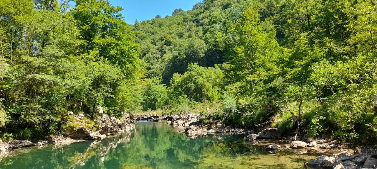 Vila Rozi, Osilnica - Vacation House Pr' Vili Rozi Εξωτερικό φωτογραφία