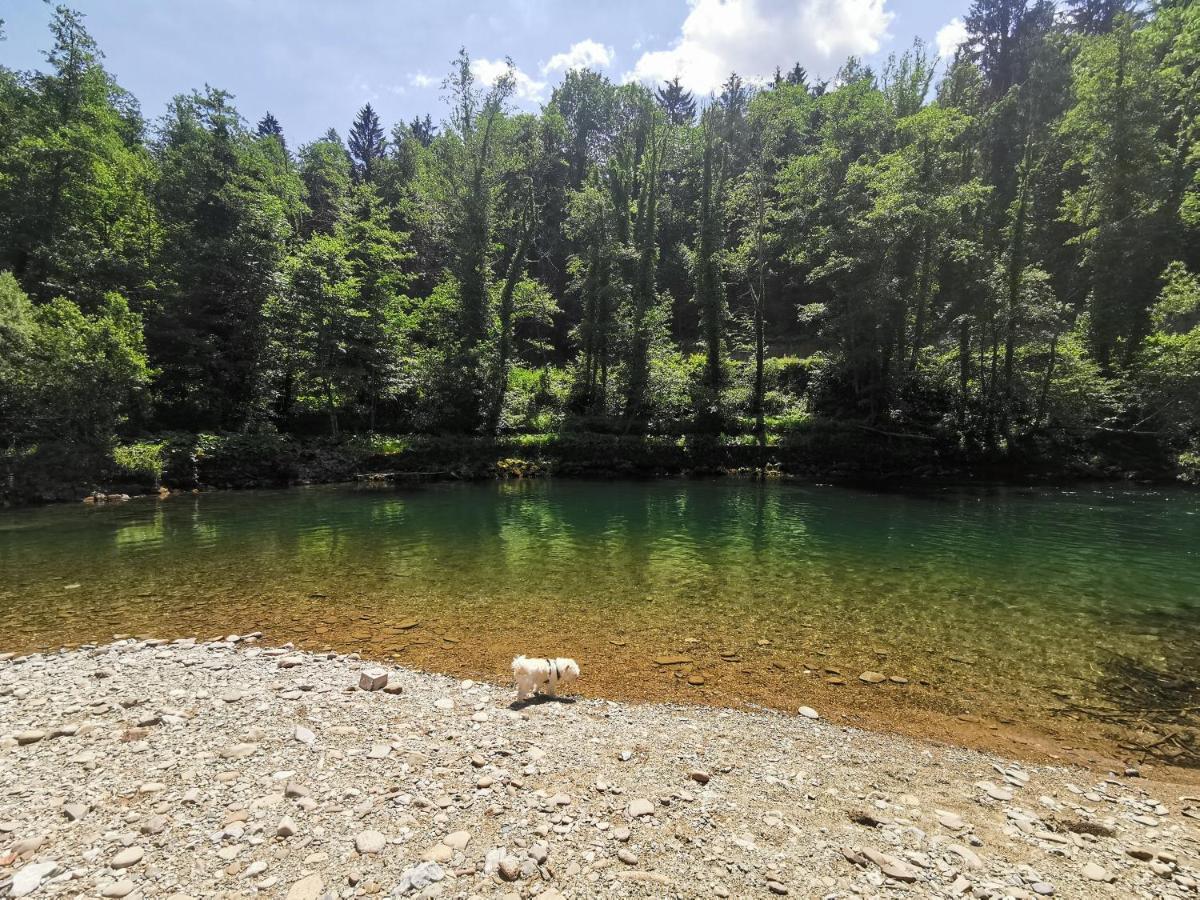 Vila Rozi, Osilnica - Vacation House Pr' Vili Rozi Εξωτερικό φωτογραφία